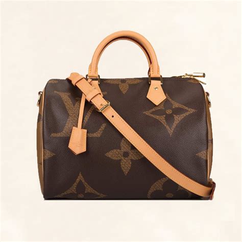 louis vuitton giant speedy|louis vuitton speedy 30 women.